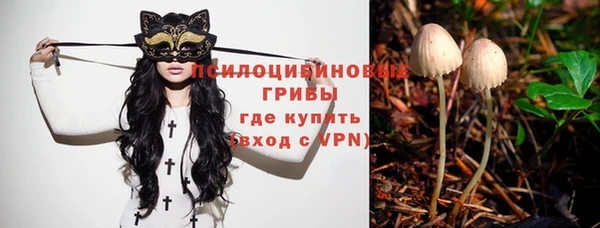a pvp Армянск