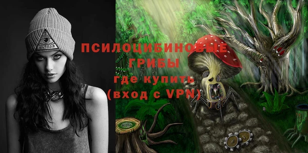 бошки Арсеньев
