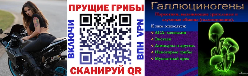 как найти закладки  Лихославль  Галлюциногенные грибы Cubensis 